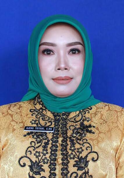 Ibu Ajeng Triyani A Md selaku anggota DPRD Kabupaten Pemalang Komisi D Bidang Kesejahteraan Rakyat Fraksi PKB (dok.istimewa)