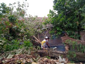 Hujan Deras Disertai Angin Kencang, Pohon Tumbang Timpa Rumah Warga di Desa Bontonyeleng