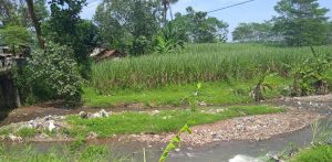 Ketua DPW Kawali Jawa Tengah Mengambil Sikap Tegas Atas Terjadinya Pencemaran Aliran Sungai Akibat Sampah di Tiga Desa Kecamatan Kajen Kabupaten Pekalongan