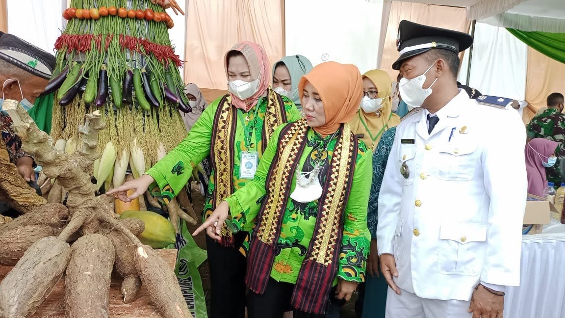 Dinas PMD Kabupaten Lampung Timur Nilai Lomba Desa Kali Pasir