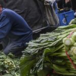 harga sayuran di kota Jakarta Barat terkini