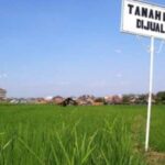 Harga Tanah Hari Ini Di Kota Tangerang Selatan 2023