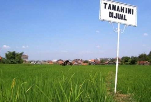 Harga Tanah Hari Ini Di Kota Tangerang Selatan 2023