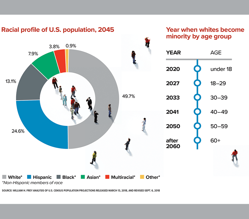 Understanding Audience Demographics