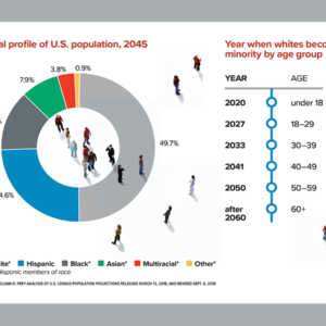 Understanding Audience Demographics